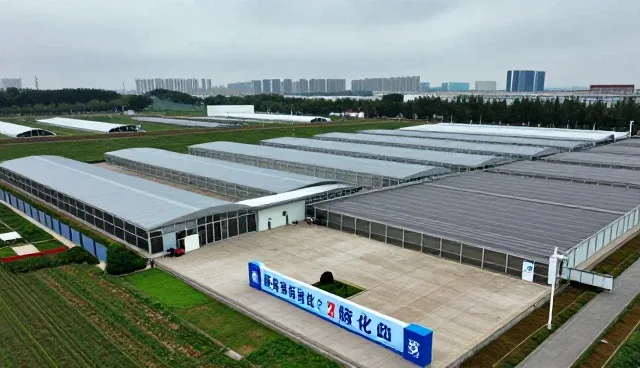 市场调研业务如何在数据驱动下实现精准策划